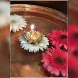Divya Mantra Indian Diwali Oil Lamp Pooja Diya Brass Light Puja Decorations Mandir Items Handmade Home Backdrop Decor Lamps Wicks Diyas Fortune Tortoise Turtle Lotus Kamal Laxmi Deepam Set Of 8 - Gold - Divya Mantra