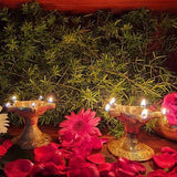 Indian Diwali Oil Lamp Pooja Diya Brass Light Puja Decorations Mandir Decoration Items Handmade Table Home Backdrop Decor Lamps Made in India Decorative Wicks Diyas Vilakku Star Deepak Set of 2 - Gold - Divya Mantra
