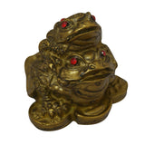Divya Mantra Feng Shui Double Money Frog - Divya Mantra