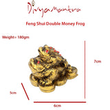 Divya Mantra Feng Shui Double Money Frog - Divya Mantra