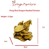 Divya Mantra Feng Shui Dragon Headed Tortoise With Baby - Divya Mantra