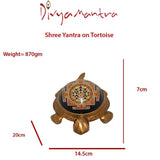 Divya Mantra Shree Yantra on Tortoise Large 20X14.5 CM - Divya Mantra