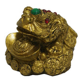 Divya Mantra Frog with Ingot Showpiece - Divya Mantra