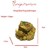 Divya Mantra Frog with Ingot Showpiece - Divya Mantra