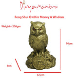Divya Mantra Feng Shui Owl Showpiece - Divya Mantra