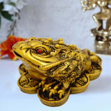 Divya Mantra Feng Shui King Money Frog Brass Finish - Divya Mantra