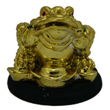 Divya Mantra Feng Shui King Money Frog For Prosperity - Divya Mantra
