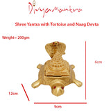 Divya Mantra Shree Yantra with Tortoise and Naag Devta - Divya Mantra