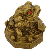 Divya Mantra Feng Shui King Money Frog For Prosperity - Divya Mantra