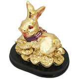 Divya Mantra Feng Shui Rabbit On Coins - Divya Mantra