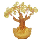 Divya Mantra Feng Shui Coin Tree - Divya Mantra