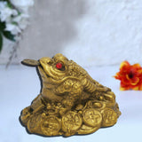 Divya Mantra Combo of Feng Shui Frog With Trishakti Yantra Hanging - Divya Mantra