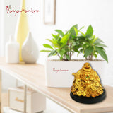 Divya Mantra Feng Shui Baby Buddha Riding Golden Dragon Gasping Ball Good Luck Symbol for Prosperity Career Success - Divya Mantra