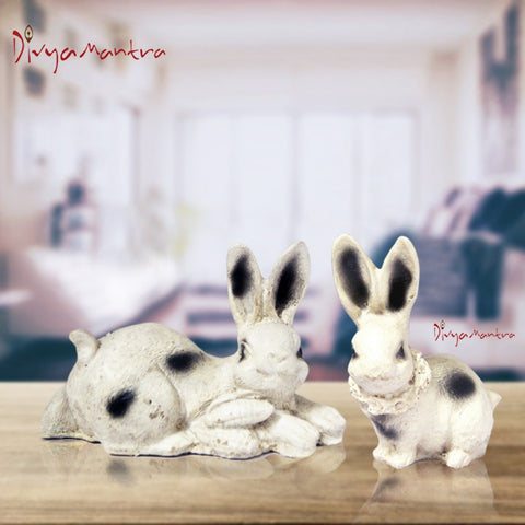 Divya Mantra Feng Shui Rabbit Gift Set Bedroom Decor For Relationship Love Luck - Divya Mantra