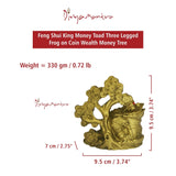 Divya Mantra Feng Shui King Money Toad Three Legged Frog on Coin Wealth Money Tree For Prosperity Financial Business Good Luck - Divya Mantra