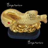Divya Mantra Feng Shui Prosperity Arowana Dragon Fish with Stand Potent Energizer of Chi Wealth Indian Gift, Office Decor, Business, Home, Showpiece, Decorative, Item/Product-Money, Good Luck - Golden - Divya Mantra