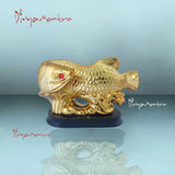 Divya Mantra Feng Shui Prosperity Arowana Dragon Fish with Stand Potent Energizer of Chi Wealth Indian Gift, Office Decor, Business, Home, Showpiece, Decorative, Item/Product-Money, Good Luck - Golden - Divya Mantra