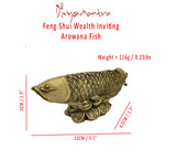 Divya Mantra Feng Shui Wealth Inviting Arowana Fish on Bed of Coins for Fortune and Abundance - Divya Mantra