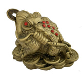 Divya Mantra Feng Shui King Money Toad Three Legged Frog on Wealth Bed in Brass Finish For Prosperity Financial Business Good Luck - Divya Mantra