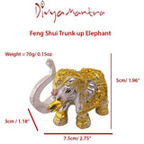 Divya Mantra Feng Shui Trunk up Bejeweled Elephant For Prosperity Financial Business Strength Success Good Luck - Divya Mantra