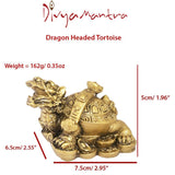 Divya Mantra Feng Shui Dragon Headed Tortoise on Wealth Bed - Divya Mantra
