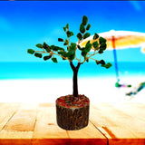 Divya Mantra Feng Shui Natural Green Jade Chakra Healing Gem Stone Bonsai Fortune Vastu Plant Sculpture Tree; Good Luck, Wealth, Success & Prosperity; Home Office Table Decor Gift Item; 50 Crystals - Divya Mantra