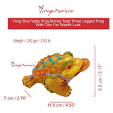 Divya Mantra Feng Shui Vastu King Money Toad Three Legged Frog With Coin For Wealth Luck Happiness Success & Financial Gains, Good Charm, Office, Home Decor Gift Collection Item / Product - Yellow - Divya Mantra