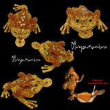 Divya Mantra Feng Shui Vastu King Money Toad Three Legged Frog With Coin For Wealth Luck Happiness Success & Financial Gains, Good Charm, Office, Home Decor Gift Collection Item / Product - Golden - Divya Mantra