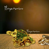 Divya Mantra Feng Shui Vastu King Money Toad Three Legged Frog With Coin For Wealth Luck Happiness Success & Financial Gains, Good Charm, Office, Home Decor Gift Collection Item / Product - Multicolor - Divya Mantra