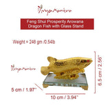 Divya Mantra Feng Shui Prosperity Arowana Dragon Fish with Glass Stand Potent Energizer of Chi Wealth Indian Gift, Office, Business, Home, Showpiece, Decorative, Item/Product-Money, Good Luck - Golden - Divya Mantra