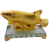 Divya Mantra Feng Shui Prosperity Arowana Dragon Fish with Glass Stand Potent Energizer of Chi Wealth Indian Gift, Office, Business, Home, Showpiece, Decorative, Item/Product-Money, Good Luck - Golden - Divya Mantra