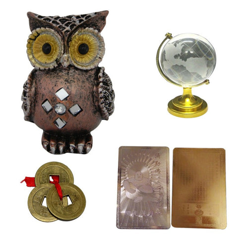 Divya Mantra Feng Shui Combo Pack of Colourful Owl, 3 Chinese Coins for Wealth & Goodluck, Buddha Gold Card and Globe - Divya Mantra